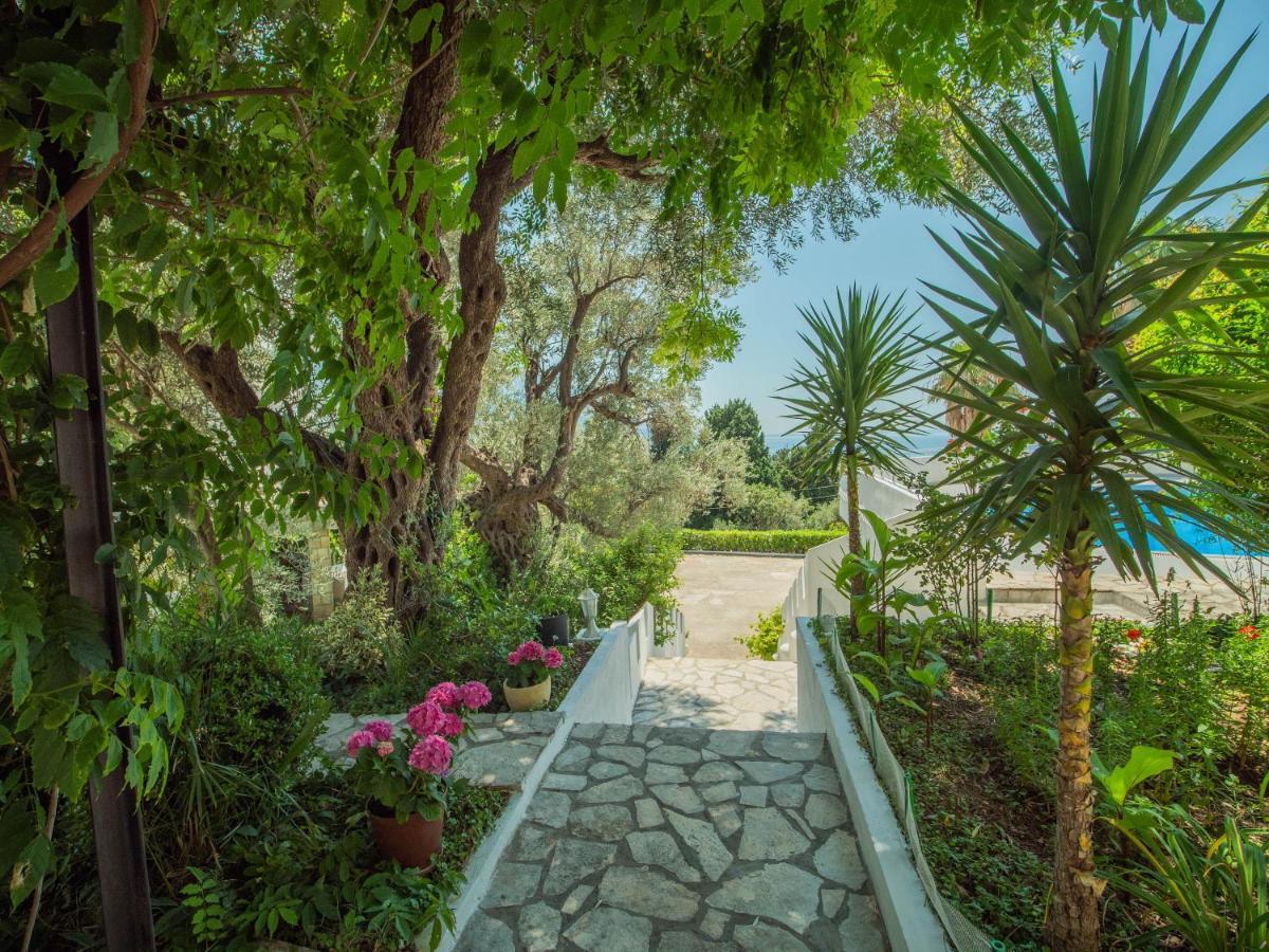 The Turtles Garden Βίλα Bečići Εξωτερικό φωτογραφία