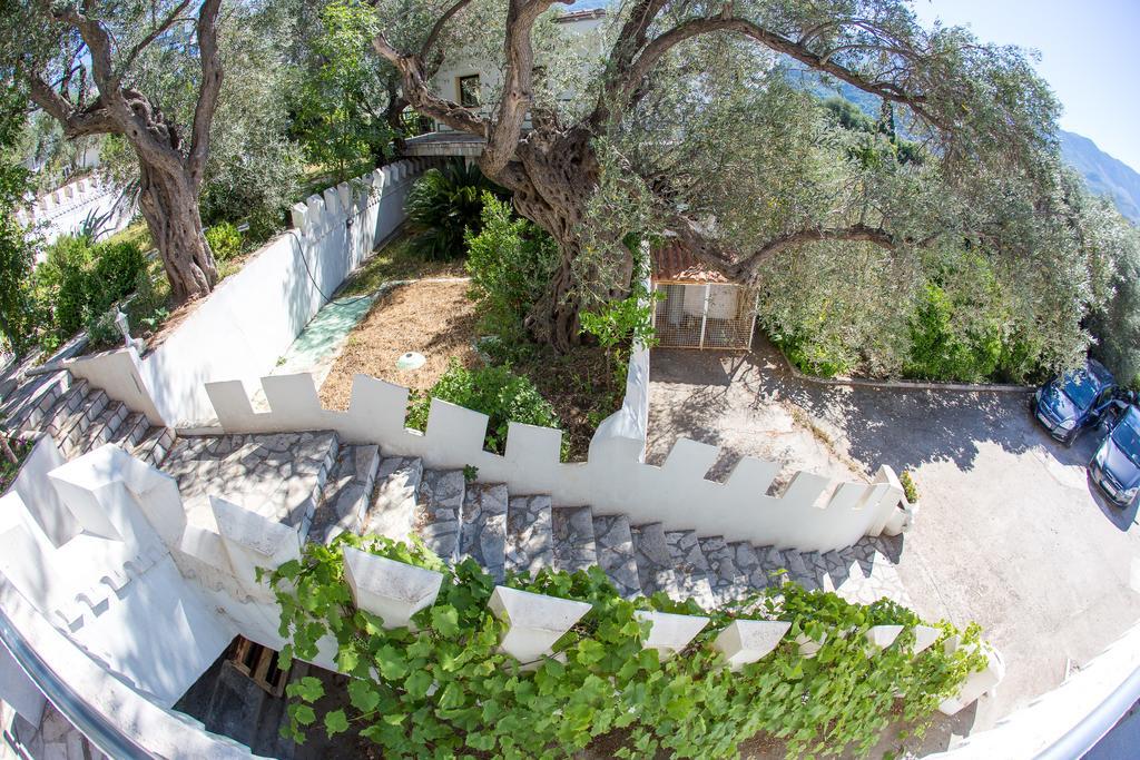 The Turtles Garden Βίλα Bečići Εξωτερικό φωτογραφία